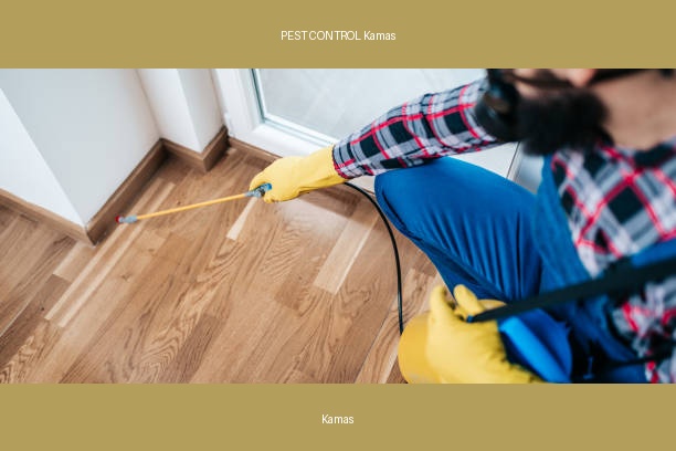 PEST CONTROL Kamas
